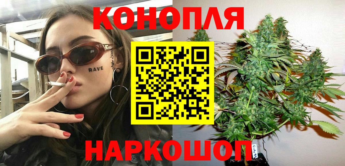 Шишки марихуана семена Геленджик
